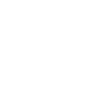 steam icon